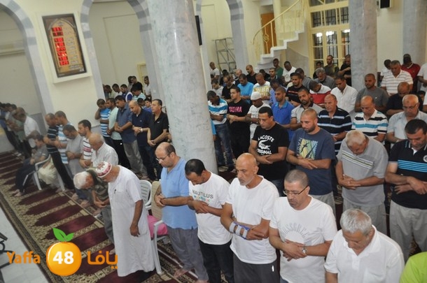 tarawe7 nozhas j (3).JPG